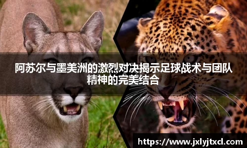 阿苏尔与墨美洲的激烈对决揭示足球战术与团队精神的完美结合